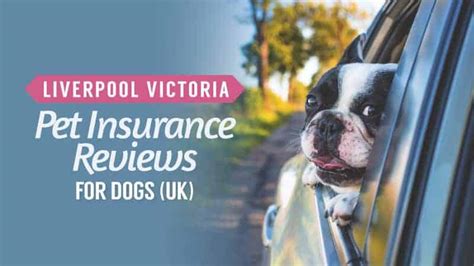 lv pet insurance reviews|lv pet insurance existing customers.